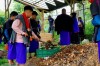 Participants of the agroecology course work together to build up compost piles using leaves and other organic material thumbnail