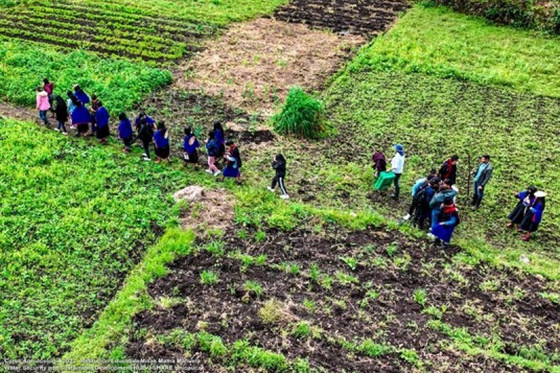 Participants of the agroecology course are seen from above, walking together through green crop fields at different stages of growth