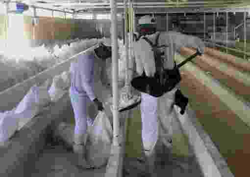 Two men work within a concrete structure of the cassava processing plant, using a shovel and collection bags