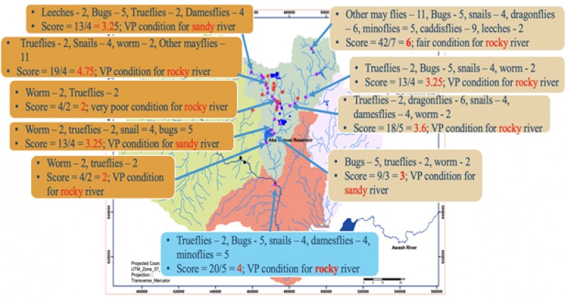 A map of the Akaki catchment labelled with notes on the water health score and invertebrates present