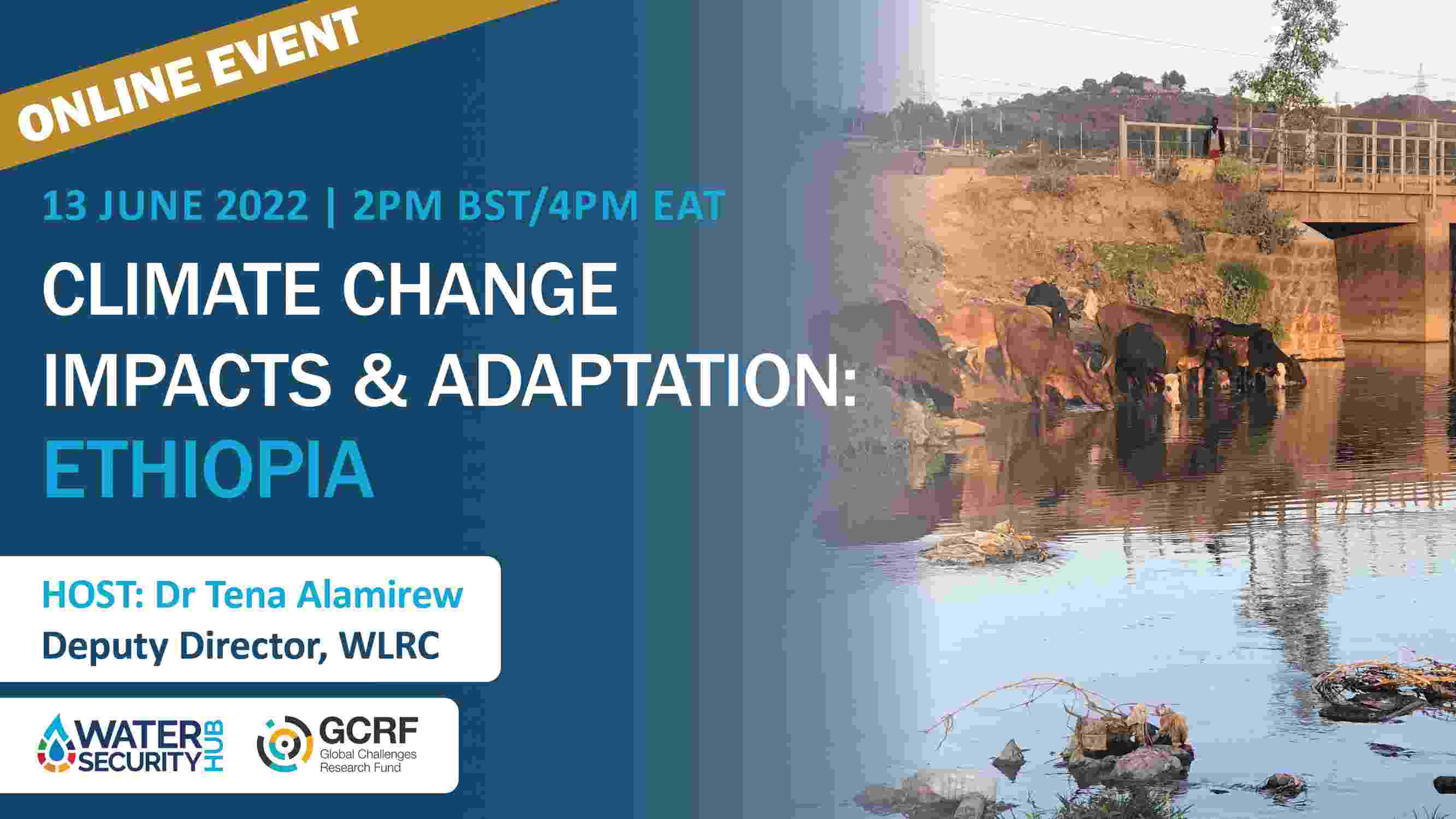Header image for the Hub's Ethiopia climate change and adaptation webinar