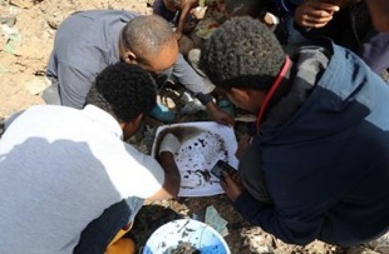 Hub researchers cluster together, assessing macroinvertebrates present in a sample collection tray