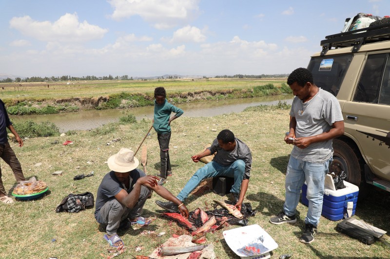 Researchers work on a riverbank to examine fish samples collected