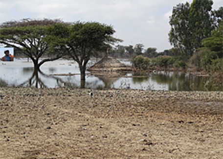Agricultual land covered in water after the severe floods of Lake Zeway, Ethiopia