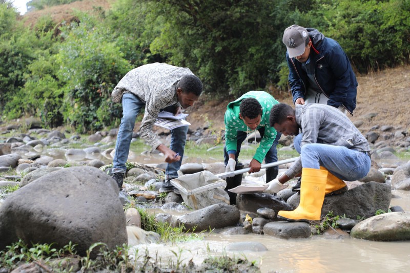 Four men stand on rocks crossing a river, crouching forwards to look at the sample tray one is holding. One of the other men is holding a net.