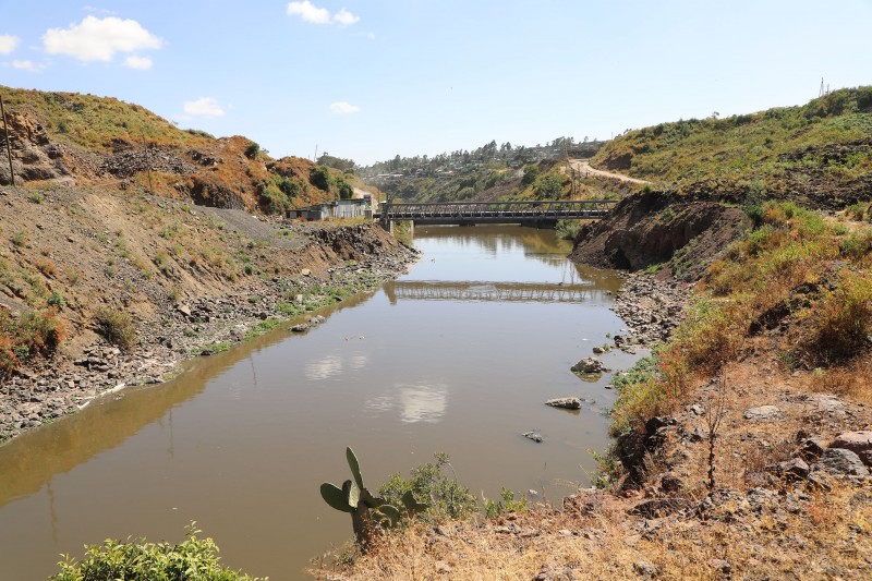 The river water appears brown and murky as it flows under a metal bridge and away from a residential area visible in the distance. The banks are lined with a mixture of green, brown, and red trees, shrubs, and grasses