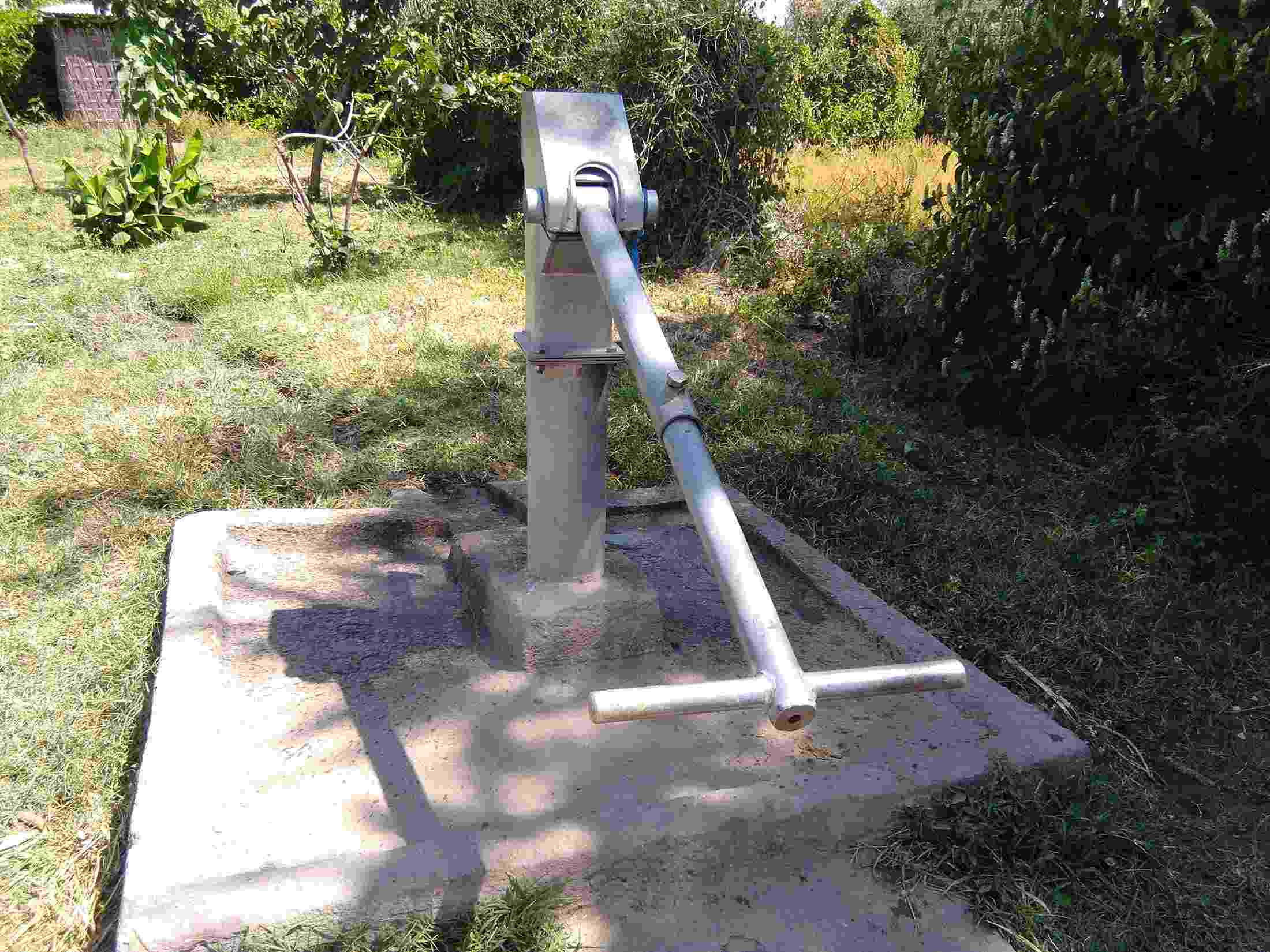A metal water hand pump mounted on a concrete bed amongst greenery and shrubs