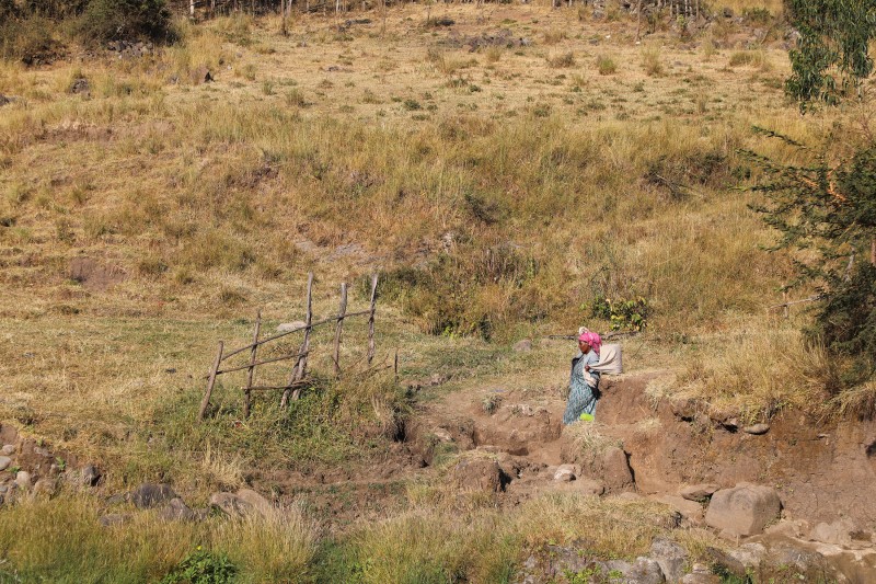 A woman wearing a pink headscarf carries a bucket of water on her back using a fabric wrap, walking through dry grass