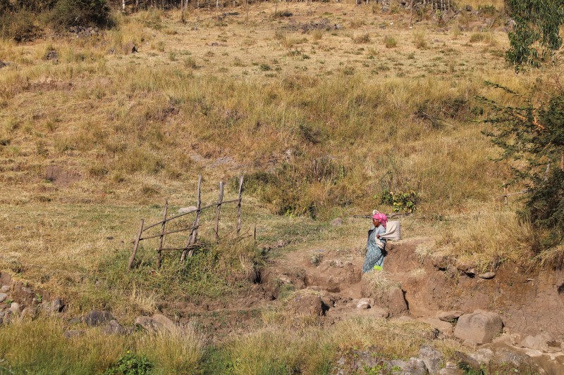 A woman wearing a pink headscarf carries a bucket of water on her back using a fabric wrap, walking through dry grass