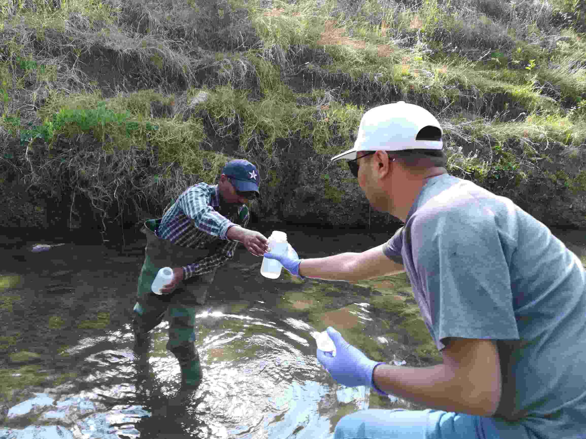 Close up, over-shoulder view of Hub colleagues collecting water samples from the Akaki River