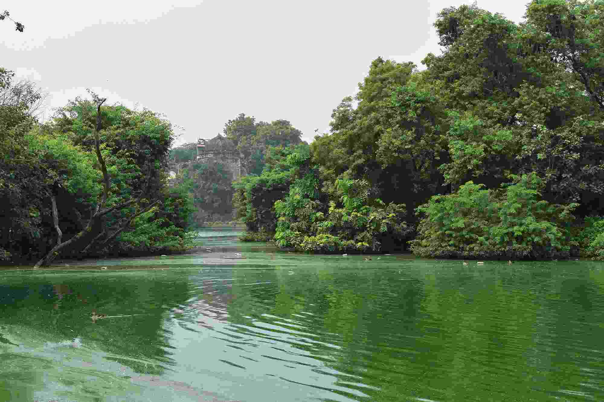 Image shows the green waters of the Hauz Khas Lake, with green trees on either side