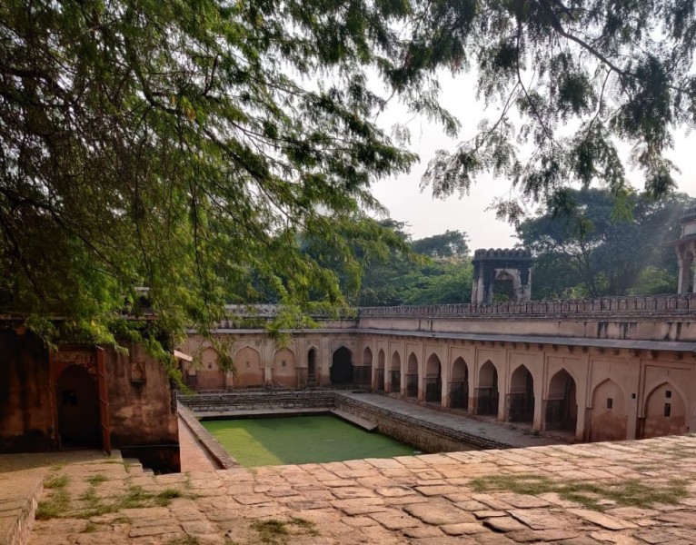 The arches and tank of Rajaon ki Baoli, an old stepwell of Delhi, are constructed of pink stone. The tank water is full of green weed and algae, and a green tree overhangs the wall.