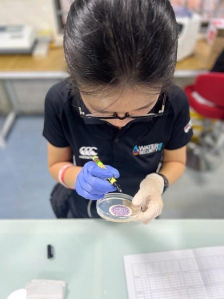 A member of the NUMed team analyses the contents of a petri dish as part of AMR and water quality work