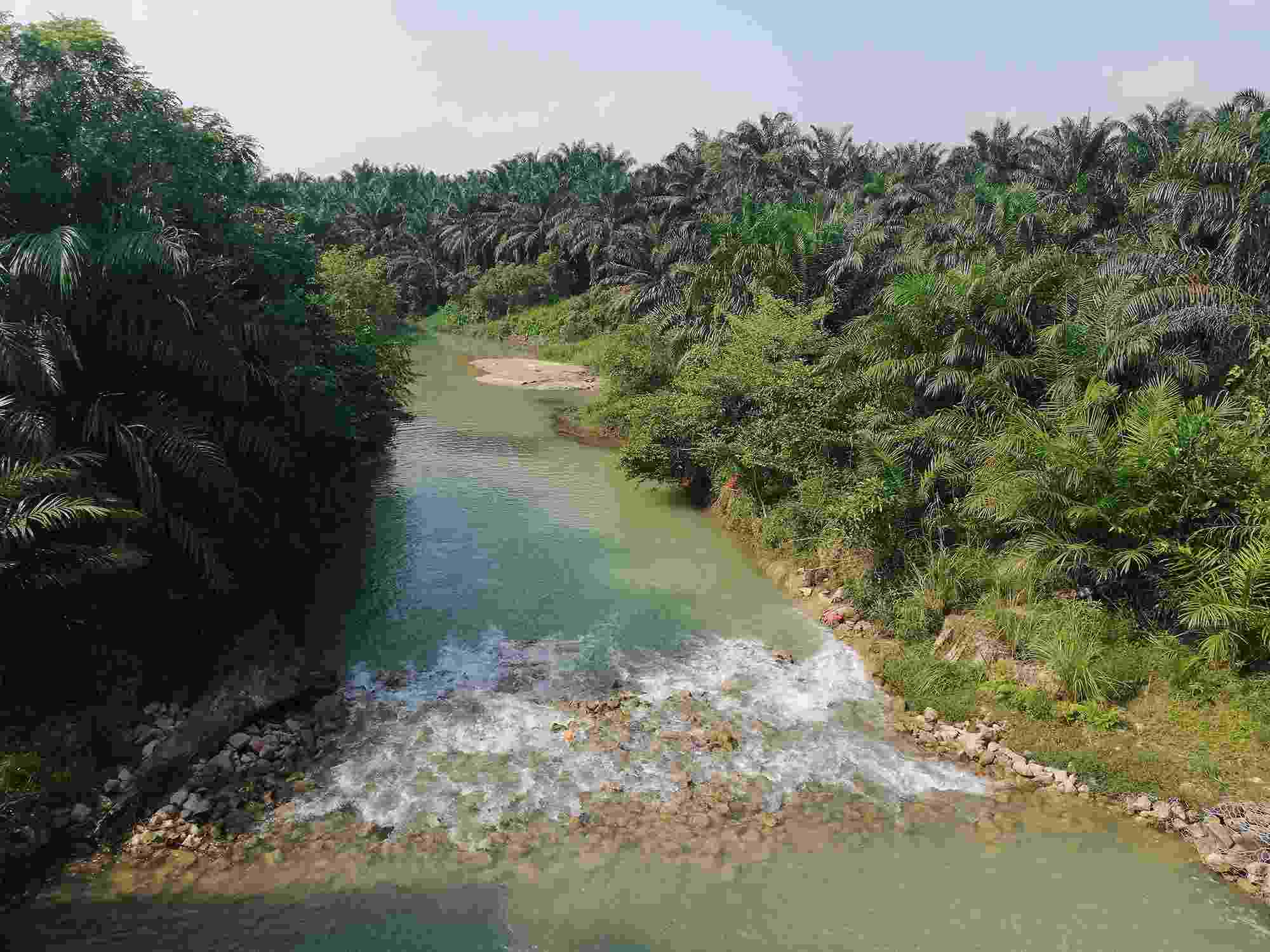 Panoramic photo of the Sg Penggeli River, a tributary of the Sg Johor River, flanked by lush greenery and palm trees