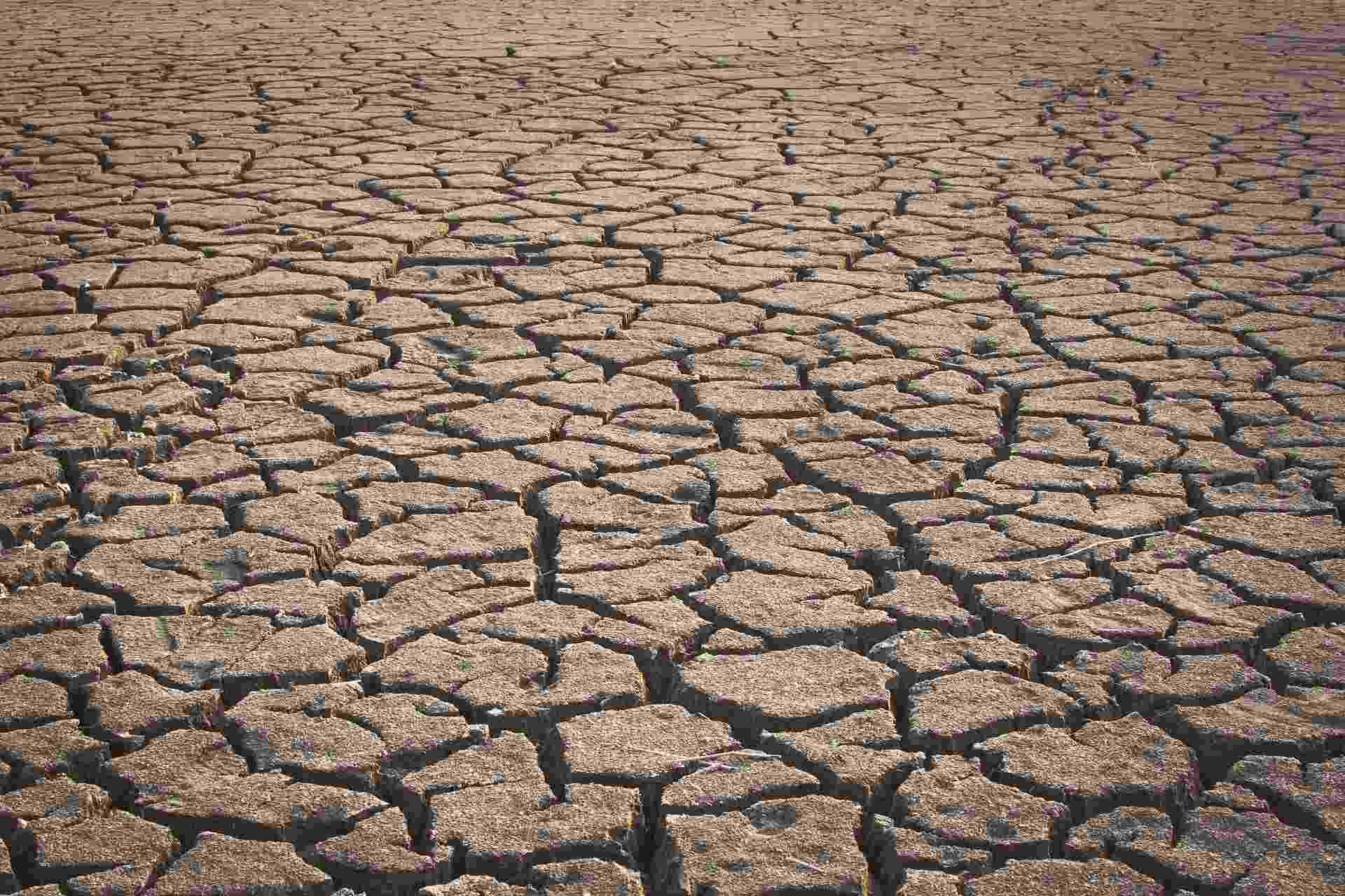 Close up of dry, cracked earth, parched from drought