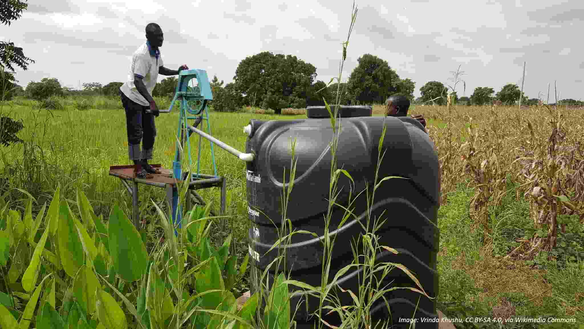 A farmer stands on a raised platform amongst his field of crops, filling a large black water tank placed in the foreground from a blue water pump