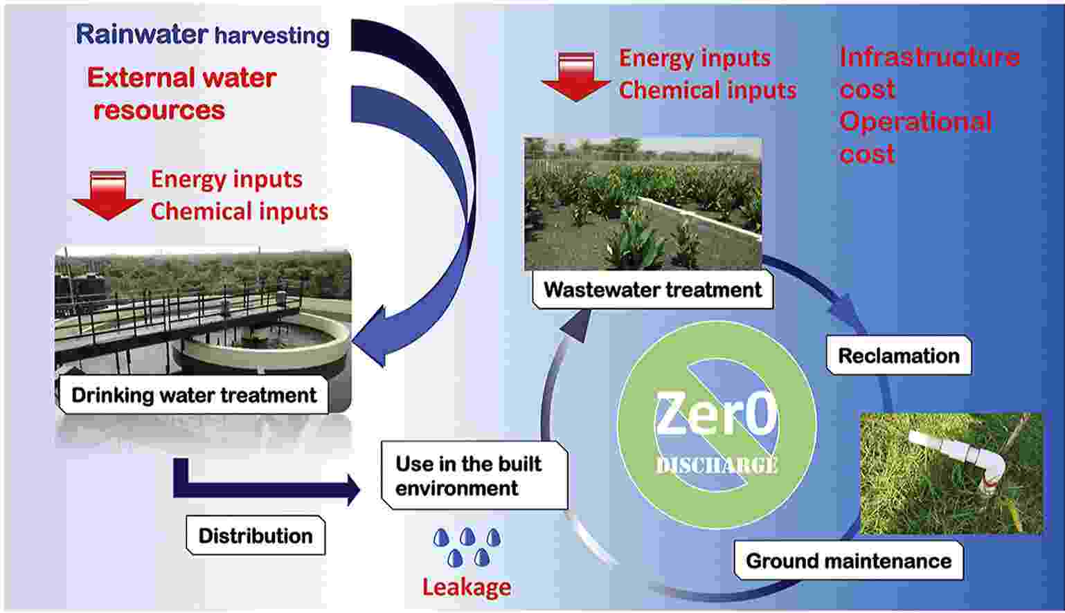 Graphical abstract, taken from paper