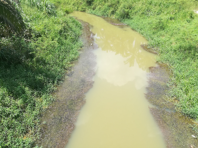 upstream of Sg Sayong river in Malaysia