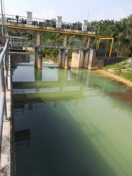 A bridge and water infrastructure cross the green water of the Penggeli River with palm trees lining the banks