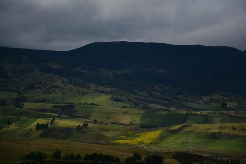 Panorama of yellow and green cultivated fields in the Andes region, Colombia