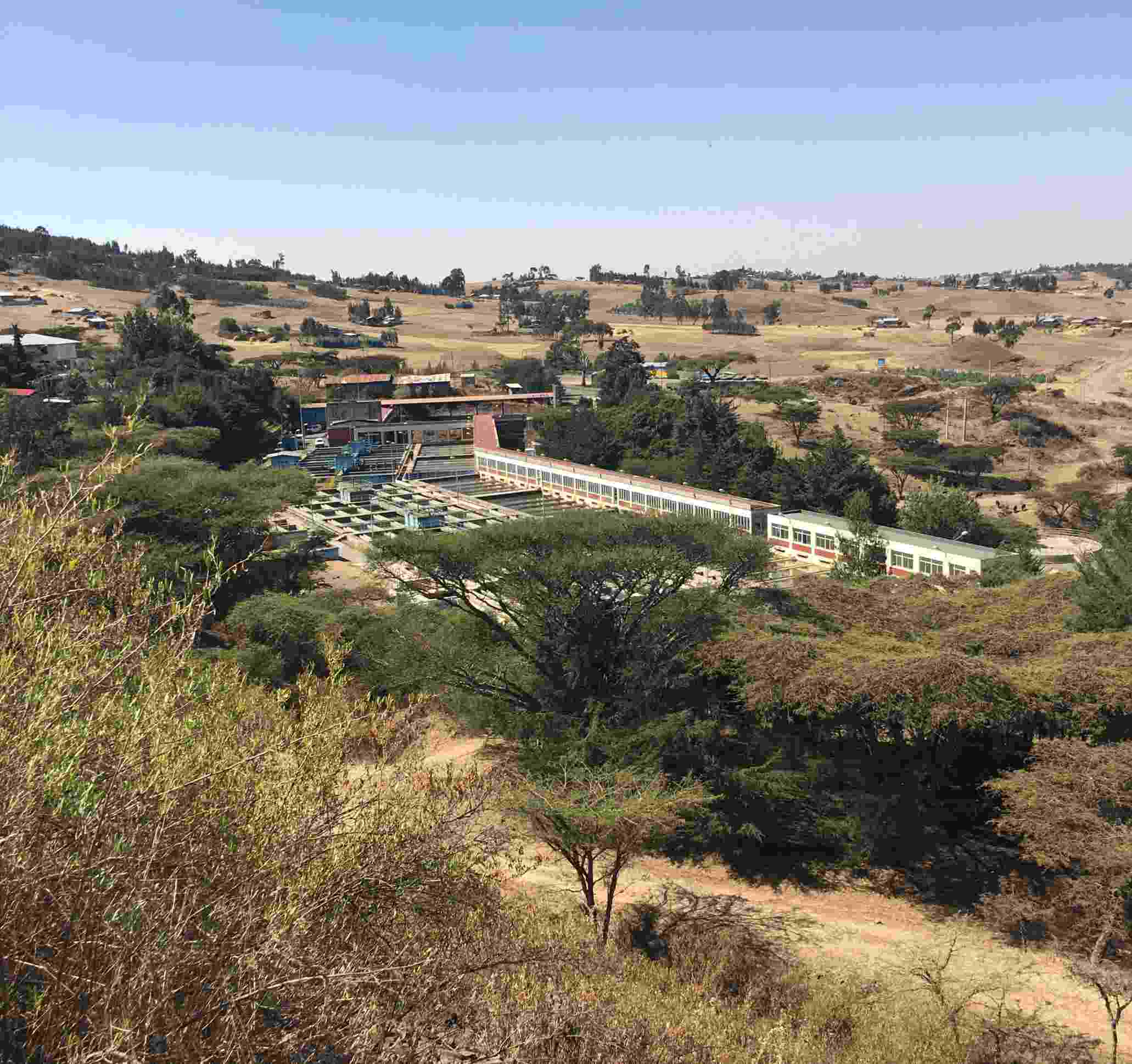 Image shows the Legedadi Reservoir from a distance, surrounded by trees and open land